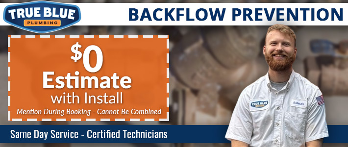 north metro atlanta Backflow Prevention True Blue Plumbing