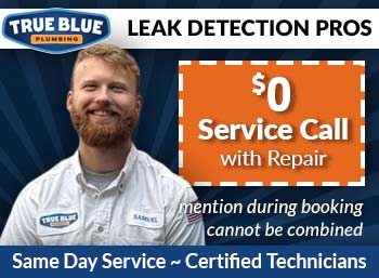 north metro atlanta Leak Detection  True Blue Plumbing