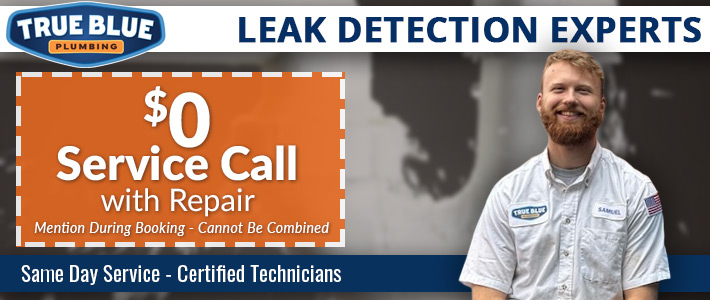 north metro atlanta Leak Detection True Blue Plumbing