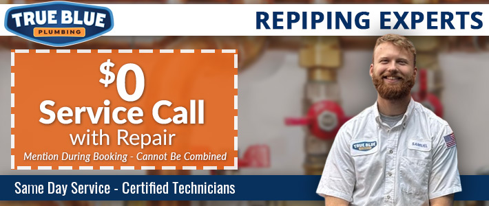 north metro atlanta Repiping True Blue Plumbing