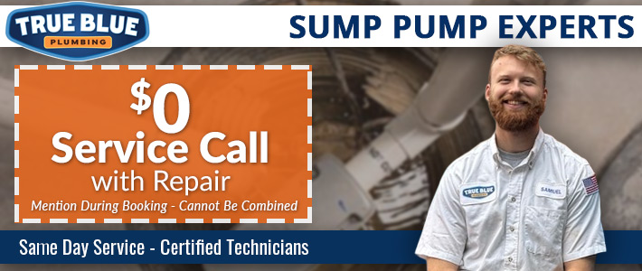 north metro atlanta Pressure Tank Repair & Install True Blue Plumbing