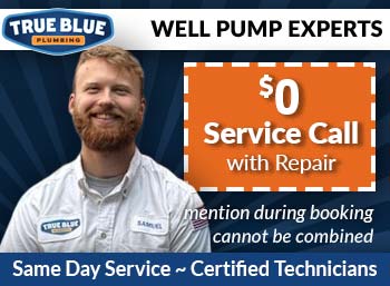 north metro atlanta Well Pump Repair & Install True Blue Plumbing