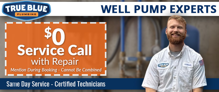 north metro atlanta Well Pump Repair & InstallTrue Blue Plumbing